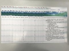 我們的節(jié)日?清明|德晟集團開展移風(fēng)易俗志愿宣
